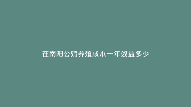 在南阳公鸡养殖成本一年效益多少