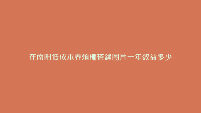 在南阳低成本养殖棚搭建图片一年效益多少