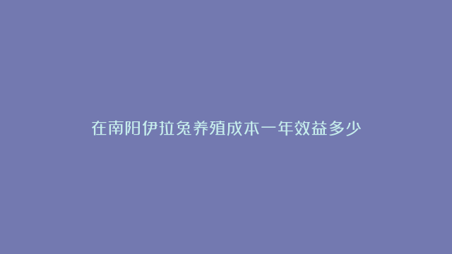 在南阳伊拉兔养殖成本一年效益多少