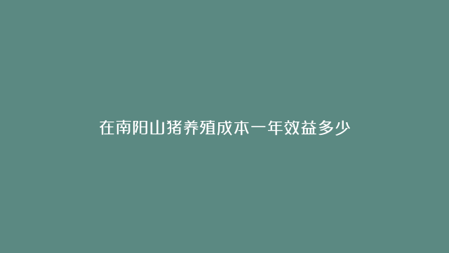 在南阳山猪养殖成本一年效益多少