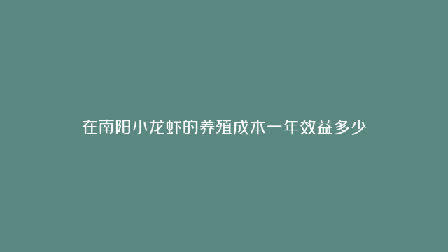 在南阳小龙虾的养殖成本一年效益多少