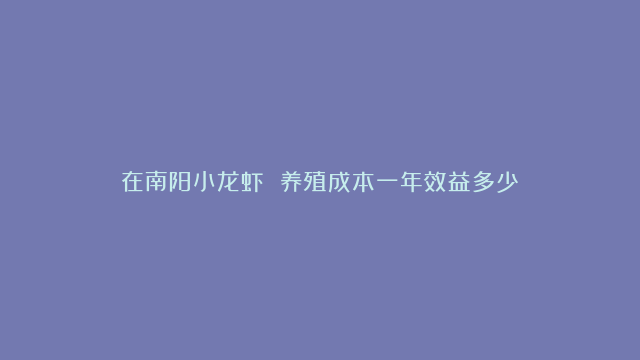 在南阳小龙虾 养殖成本一年效益多少