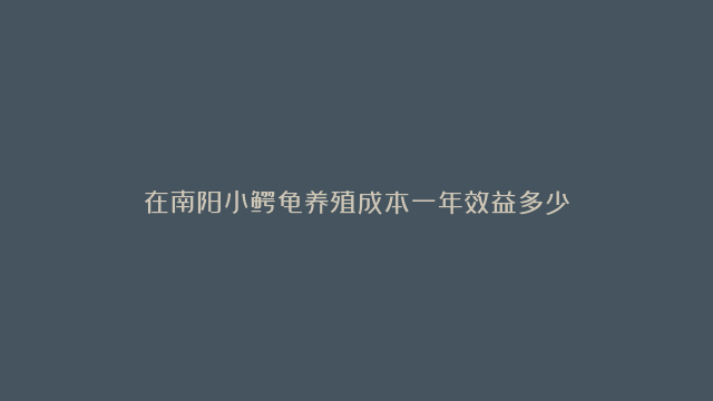 在南阳小鳄龟养殖成本一年效益多少