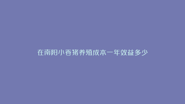 在南阳小香猪养殖成本一年效益多少