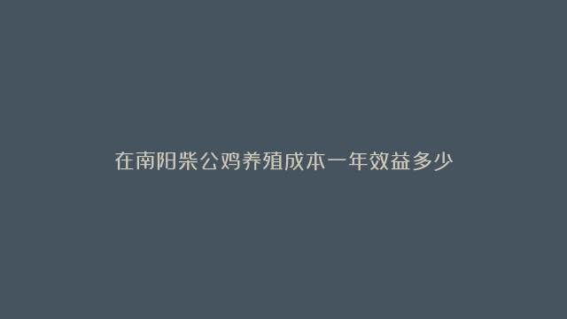 在南阳柴公鸡养殖成本一年效益多少