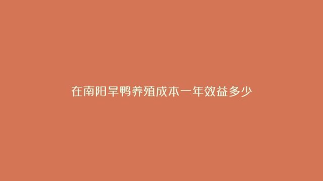 在南阳旱鸭养殖成本一年效益多少