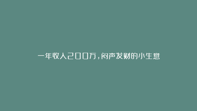 一年收入200万，闷声发财的小生意