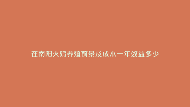 在南阳火鸡养殖前景及成本一年效益多少