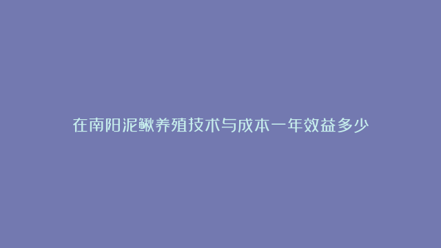 在南阳泥鳅养殖技术与成本一年效益多少