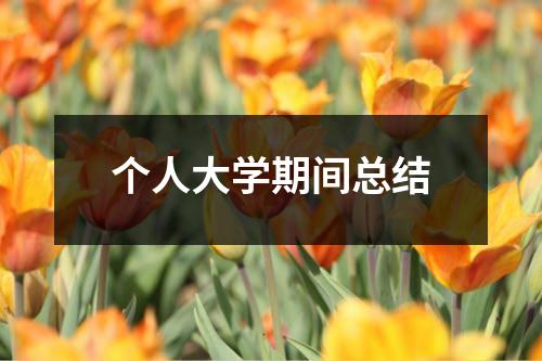 个人大学期间总结