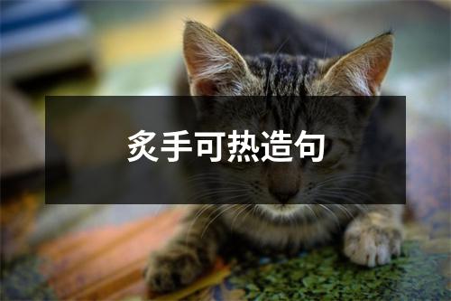 炙手可热造句