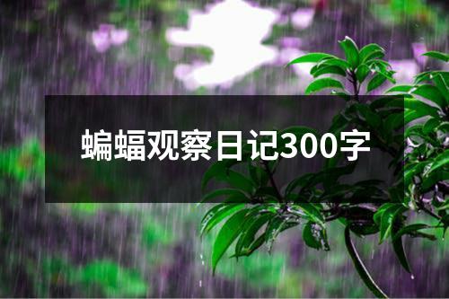 蝙蝠观察日记300字