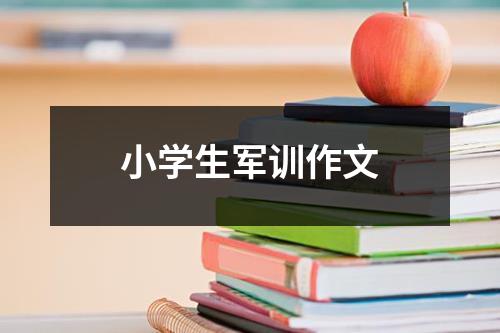 小学生军训作文