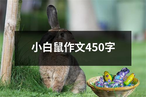 小白鼠作文450字