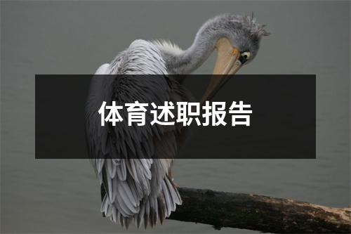 体育述职报告