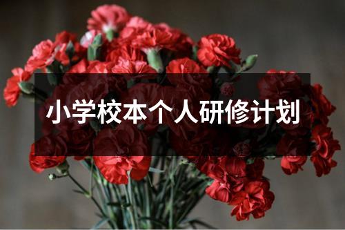 小学校本个人研修计划