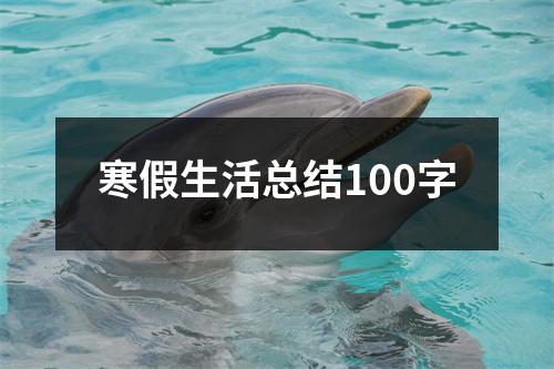 寒假生活总结100字