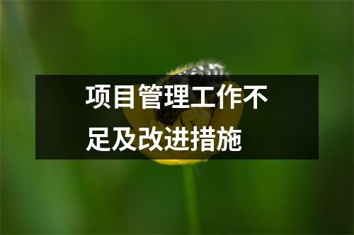 项目管理工作不足及改进措施