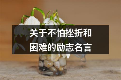 关于不怕挫折和困难的励志名言