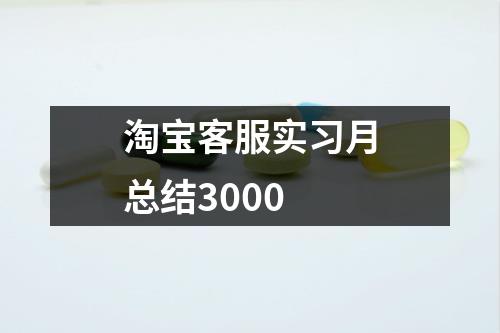 淘宝客服实习月总结3000