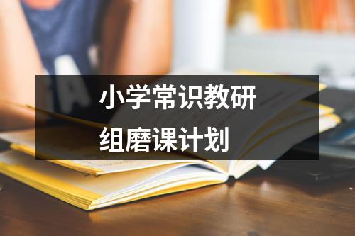 小学常识教研组磨课计划