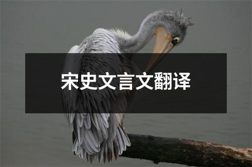 宋史文言文翻译