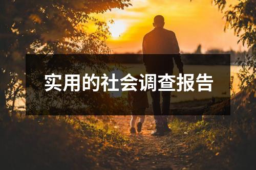 实用的社会调查报告