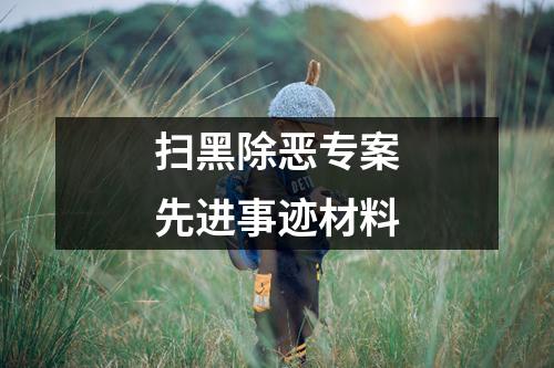 扫黑除恶专案先进事迹材料