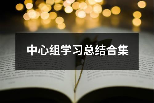 中心组学习总结合集