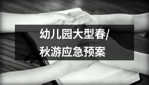 幼儿园大型春/秋游应急预案