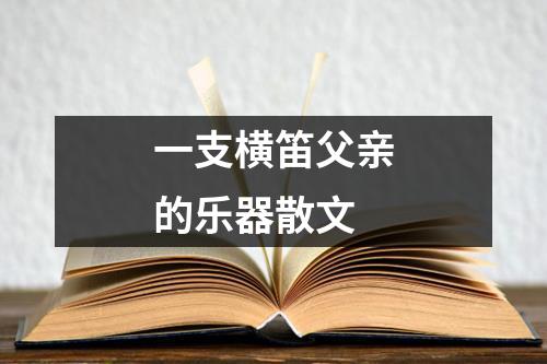 一支横笛父亲的乐器散文