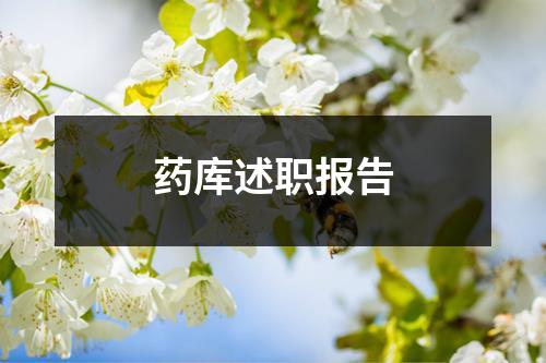 药库述职报告