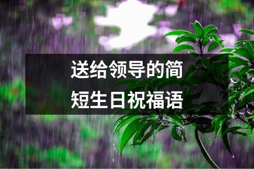 送给领导的简短生日祝福语