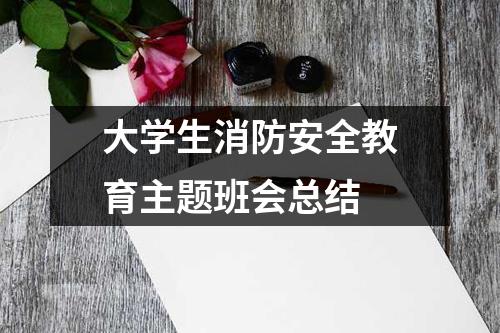 大学生消防安全教育主题班会总结