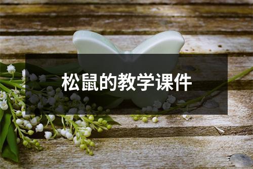 松鼠的教学课件