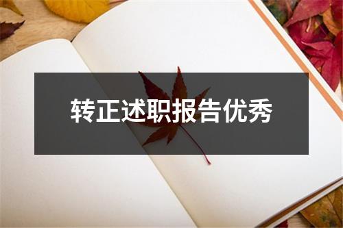 转正述职报告优秀