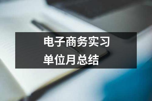 电子商务实习单位月总结