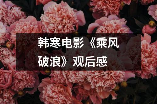 韩寒电影《乘风破浪》观后感