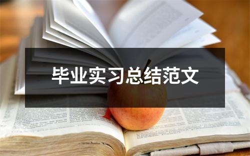 毕业实习总结范文