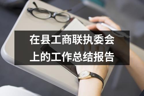 在县工商联执委会上的工作总结报告