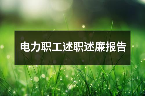 电力职工述职述廉报告