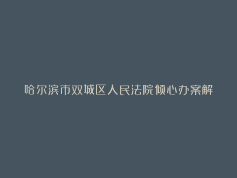 哈尔滨市双城区人民法院倾心办案解难题，获群众点赞