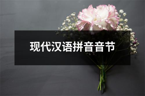 现代汉语拼音音节