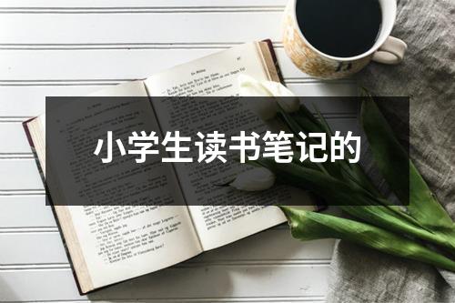 小学生读书笔记的