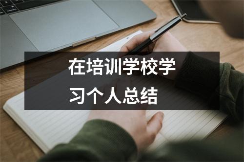 在培训学校学习个人总结