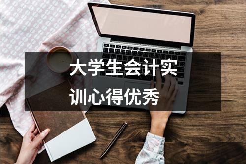 大学生会计实训心得优秀