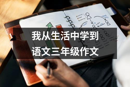 我从生活中学到语文三年级作文