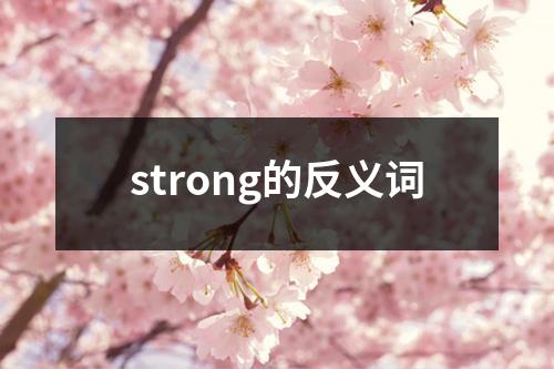 strong的反义词