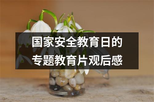 国家安全教育日的专题教育片观后感