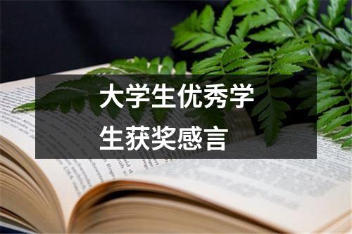 大学生优秀学生获奖感言